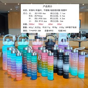 4 in 1 Bottle