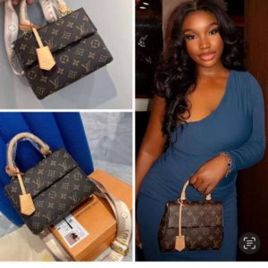 LV BOX BAG